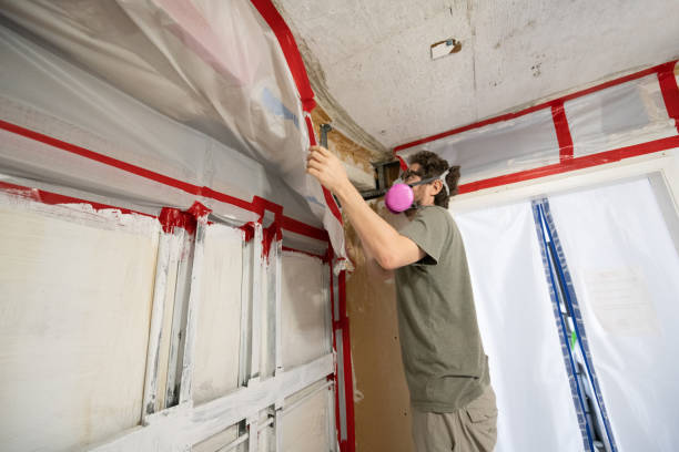 Best Environmental Consulting for Mold Prevention  in Suncook, NH