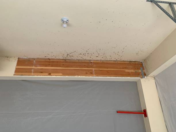 Mold Remediation for Rental Properties in Suncook, NH