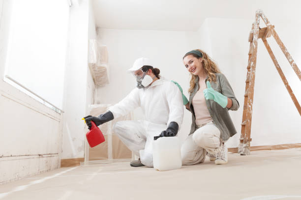 Best Real Estate Mold Inspection  in Suncook, NH