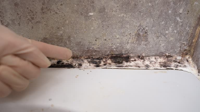 Best Residential Mold Inspection & Testing  in Suncook, NH