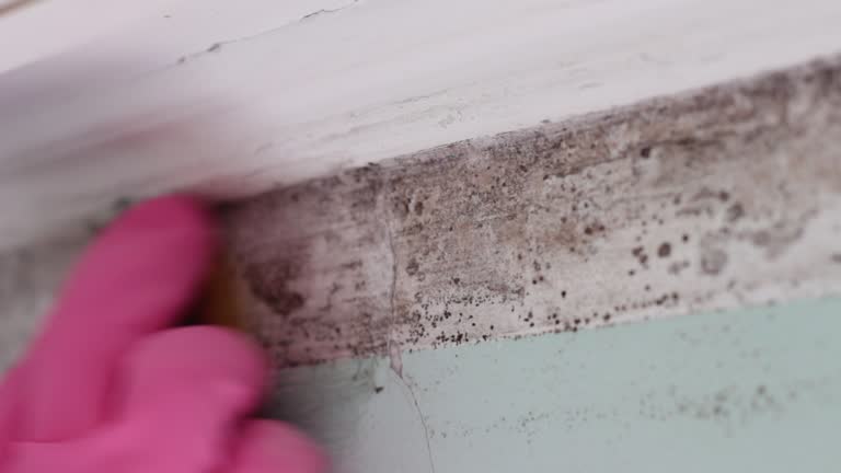 Best Mold Prevention Services  in Suncook, NH